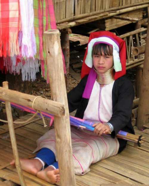 коренные народы севера обеспечат интернетом до 2020 г