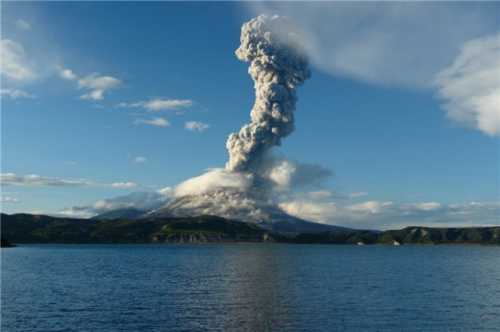 ищем жилье: отели и квартиры &8902;