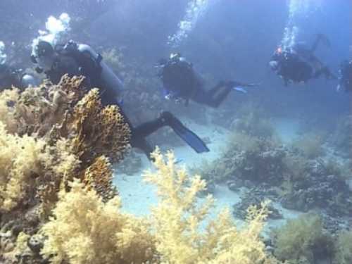 расшатанная опора: как малый бизнес пробивает дорогу в жизнь