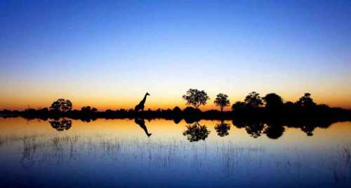 дать однозначный ответ, почему мужчины изменяют, не могут даже мастистые психологи дать однозначный ответ, почему мужчины изменяют, не могут даже мастистые психологи