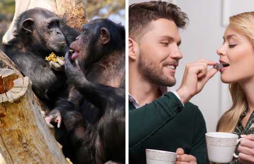 один день из жизни книжного скаута