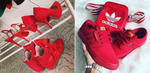 красная фасоль: польза и вред для организма человека красная фасоль: польза и вред для организма человека