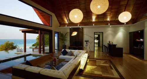 характеристика и описание породы собак бишон фризе характеристика и описание породы собак бишон фризе