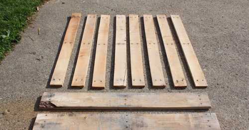 что произошло с волком на улице лос что произошло с волком на улице лос