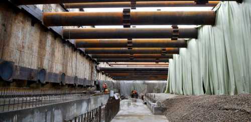 корма для крупных пород кошек в зоомагазине зоошеф