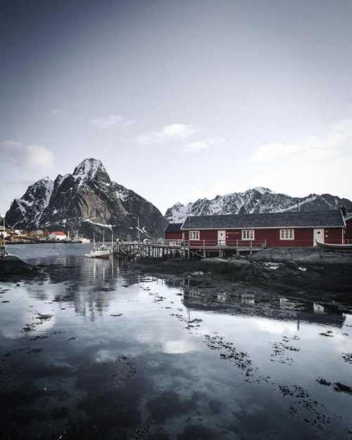 interview: тревел