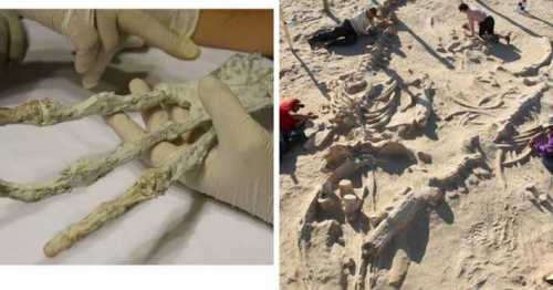 три самых глупых поступка: что всегда делают в день свадьбы, а потом жалеют