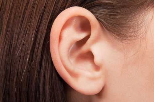 депозитарий: определение, услуги, функции