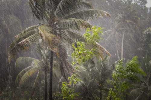 погода на новый год 2018 в украине: прогноз от синоптиков погода на новый год 2018 в украине: прогноз от синоптиков