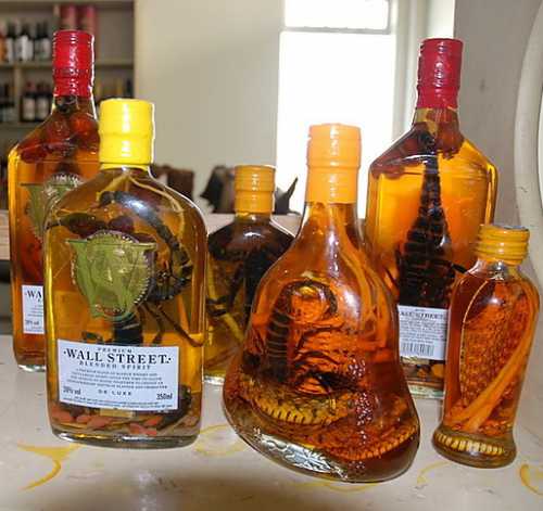 настойка пиона поможет успокоить нервную систему