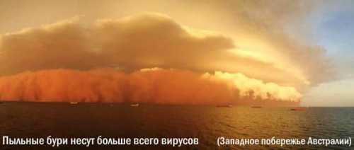 вирусные бородавки: лечение и причины появления