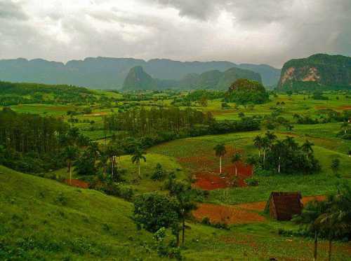 как найти подход к остапу бендеру, заставить начальника рисковать и продвинуть любой проект