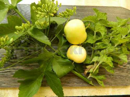 слимтин для похудения