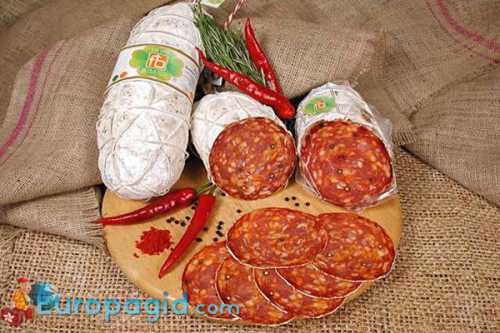 мафия в италии оценила голову полицейского пса в пять тысяч евро мафия в италии оценила голову полицейского пса в пять тысяч евро