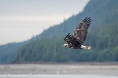 система образования в японии в 2019 году: плюсы и минусы